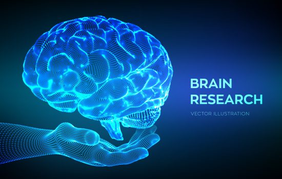 Brain. Human brain research. 3D Science and Technology concept. Neural network. IQ testing, artificial intelligence virtual emulation science technology. Brainstorm think idea. Vector illustration
